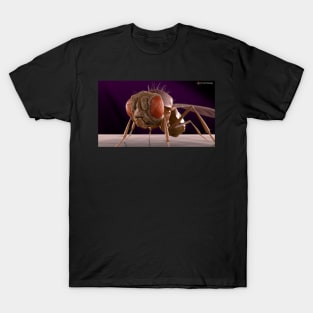 Fly T-Shirt